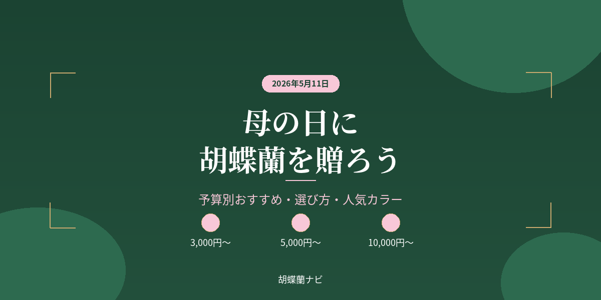 母の日に胡蝶蘭を贈ろう