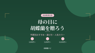 母の日に胡蝶蘭を贈ろう