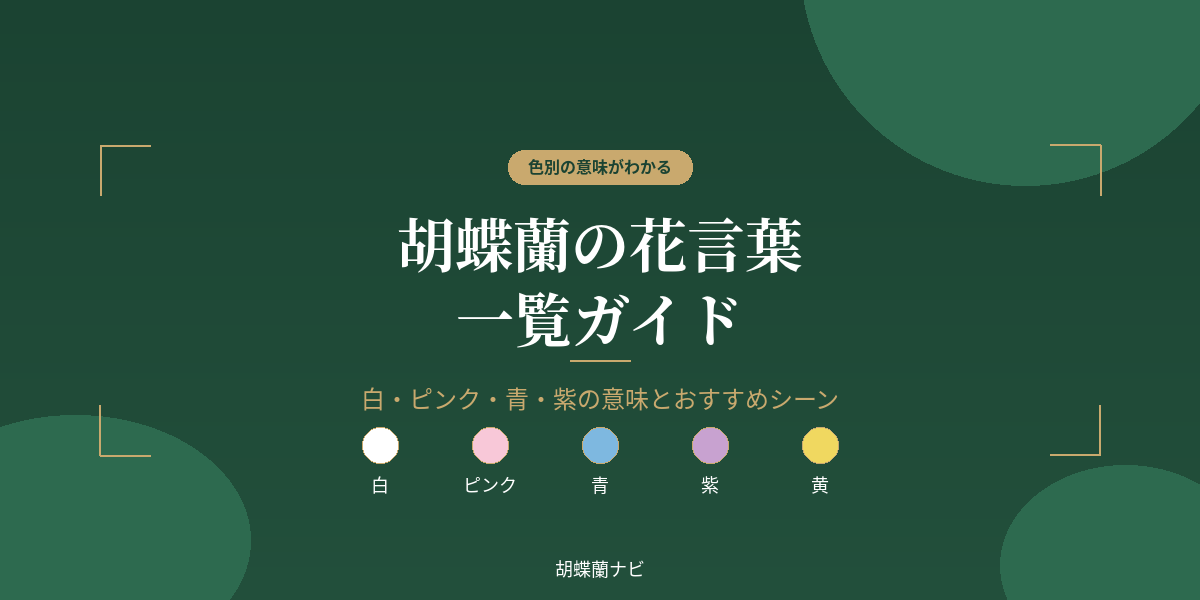 胡蝶蘭の花言葉