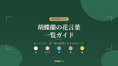 胡蝶蘭の花言葉