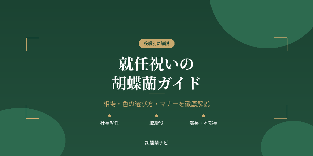 就任祝いの胡蝶蘭