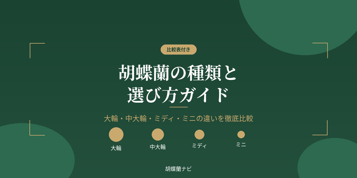 胡蝶蘭の種類と選び方