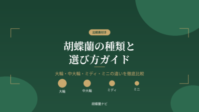 胡蝶蘭の種類と選び方