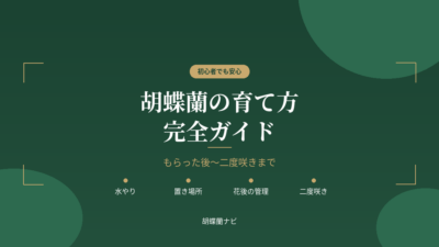 胡蝶蘭の育て方完全ガイド