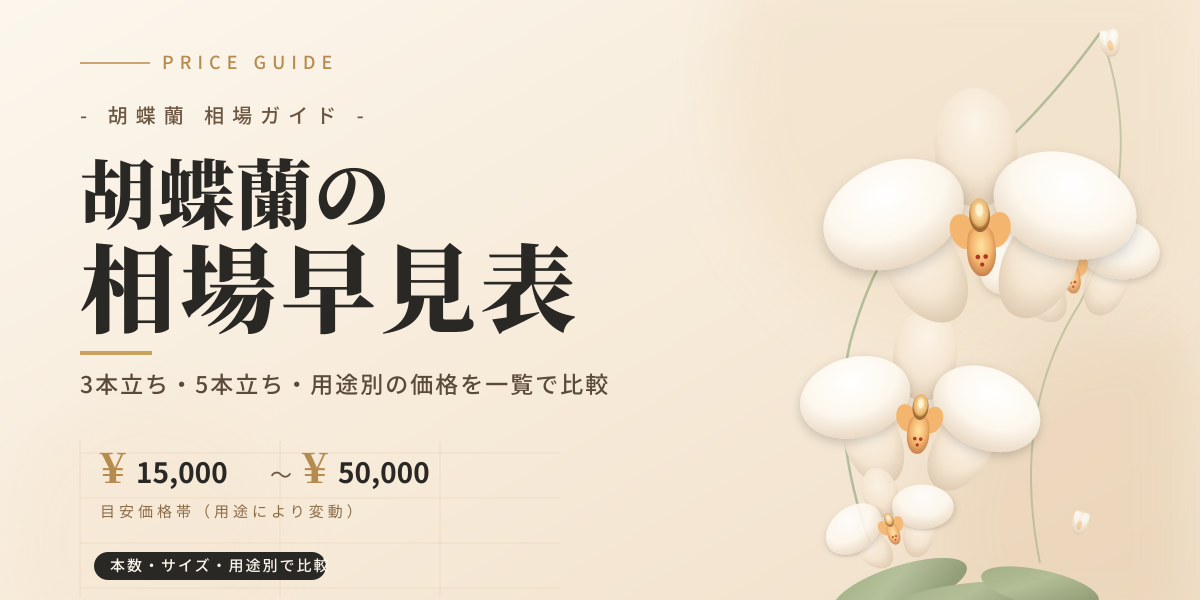 胡蝶蘭の相場早見表