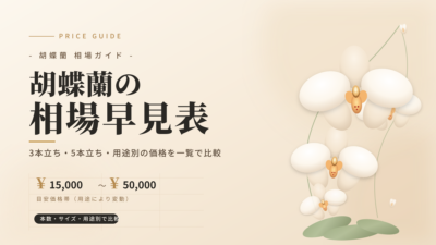 胡蝶蘭の相場早見表