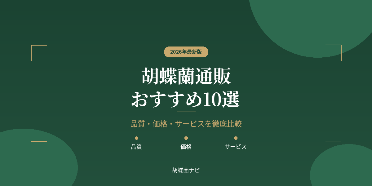 胡蝶蘭通販おすすめ10選