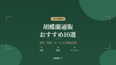 胡蝶蘭通販おすすめ10選