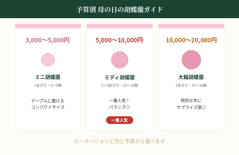 予算別　母の日におすすめの胡蝶蘭