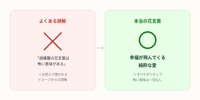 胡蝶蘭の花言葉が怖い?
