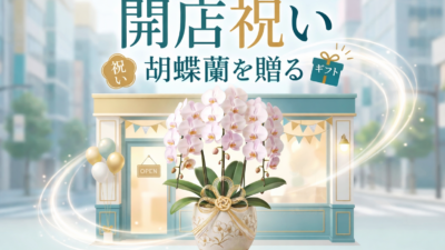 開店祝い胡蝶蘭