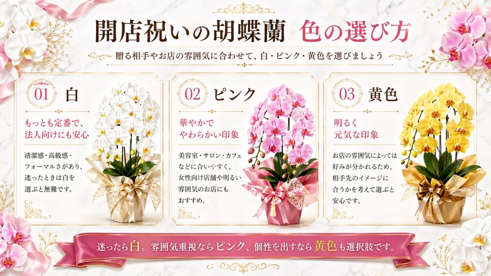 開店祝いの胡蝶蘭の色の選び方