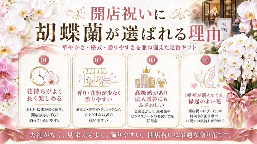 開店祝いに胡蝶蘭が選ばれる理由