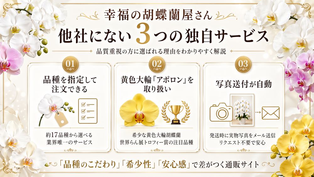 幸福の胡蝶蘭屋さん他社にない3つの独自サービス