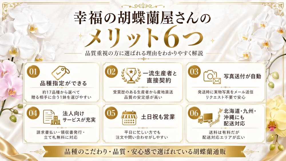 幸福の胡蝶蘭屋さんのメリット6つ