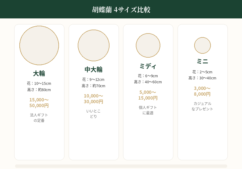 胡蝶蘭4サイズの比較表