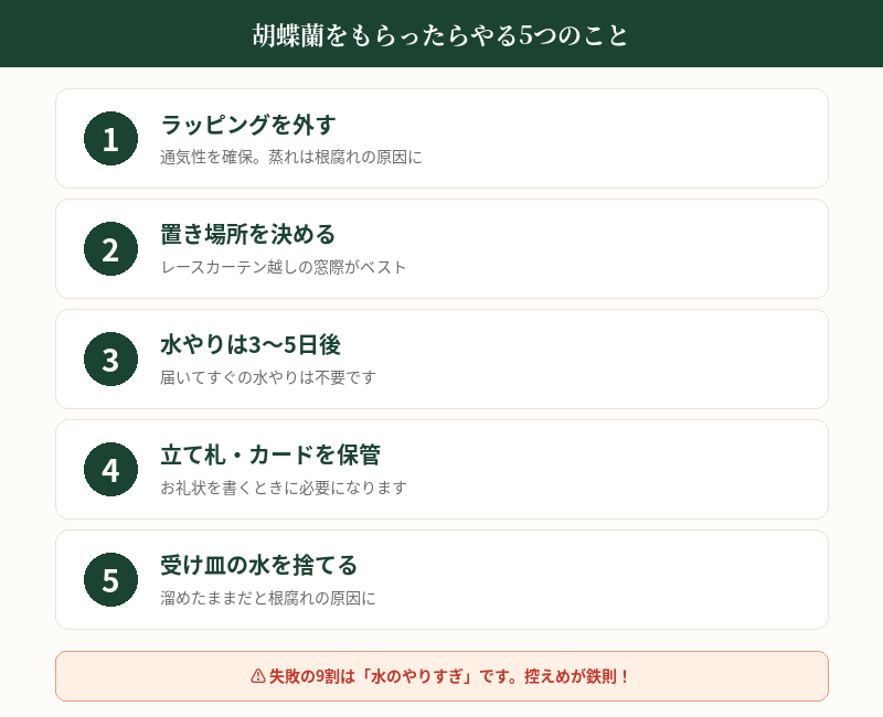 胡蝶蘭をもらったらまずやる5つのこと