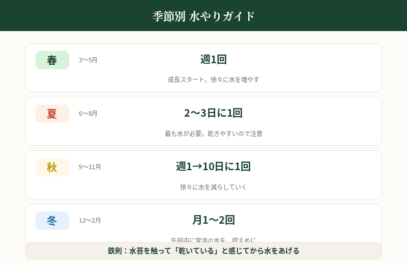 水やり ー 控えめが鉄則