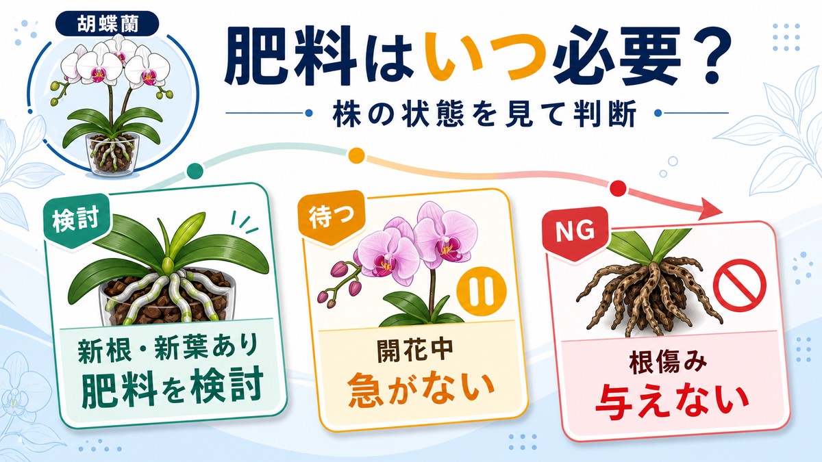 胡蝶蘭に肥料が必要な状態と不要な状態の比較図