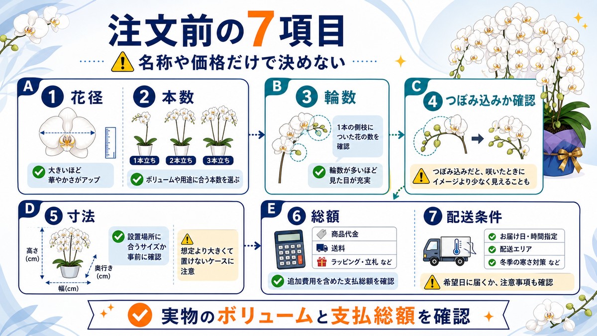 大輪胡蝶蘭を通販で注文する際の確認項目