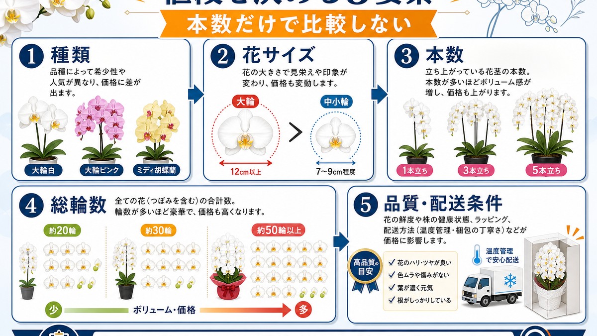 青い胡蝶蘭の価格を決める要素の図解