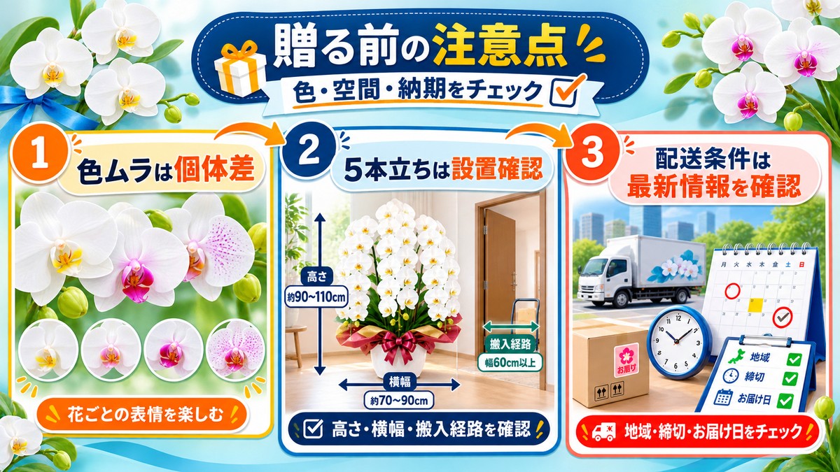 青い胡蝶蘭を贈る前に確認したい注意点の図解