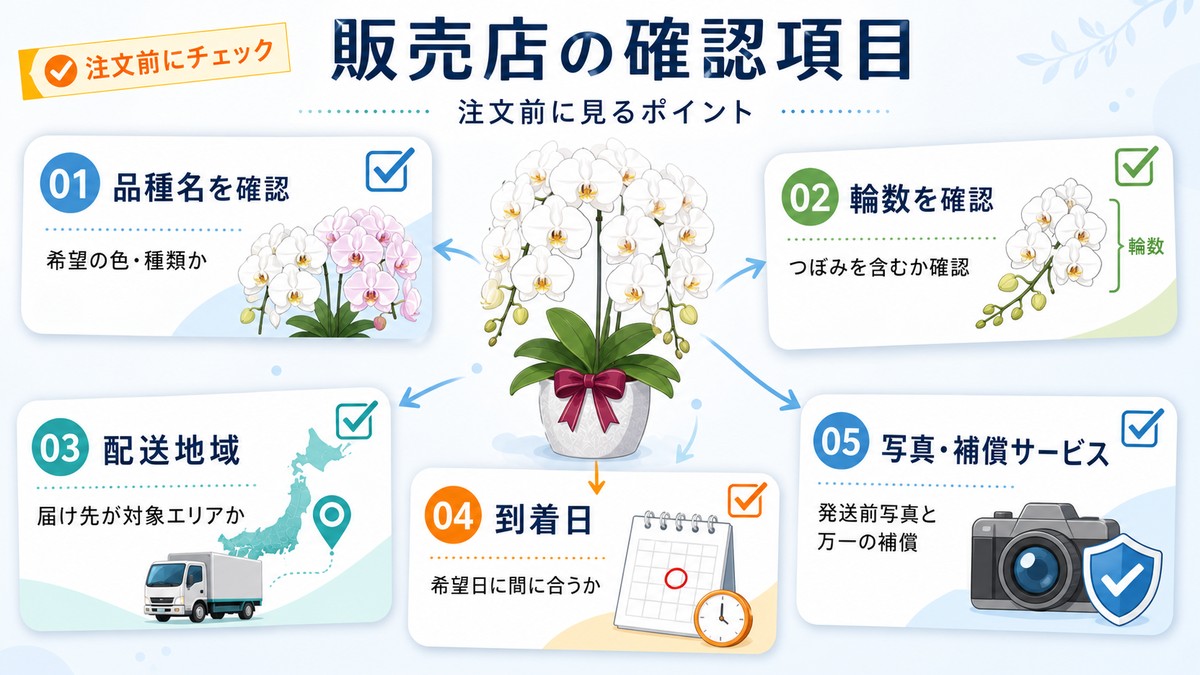 ブルージーン胡蝶蘭の販売店選びチェックリスト
