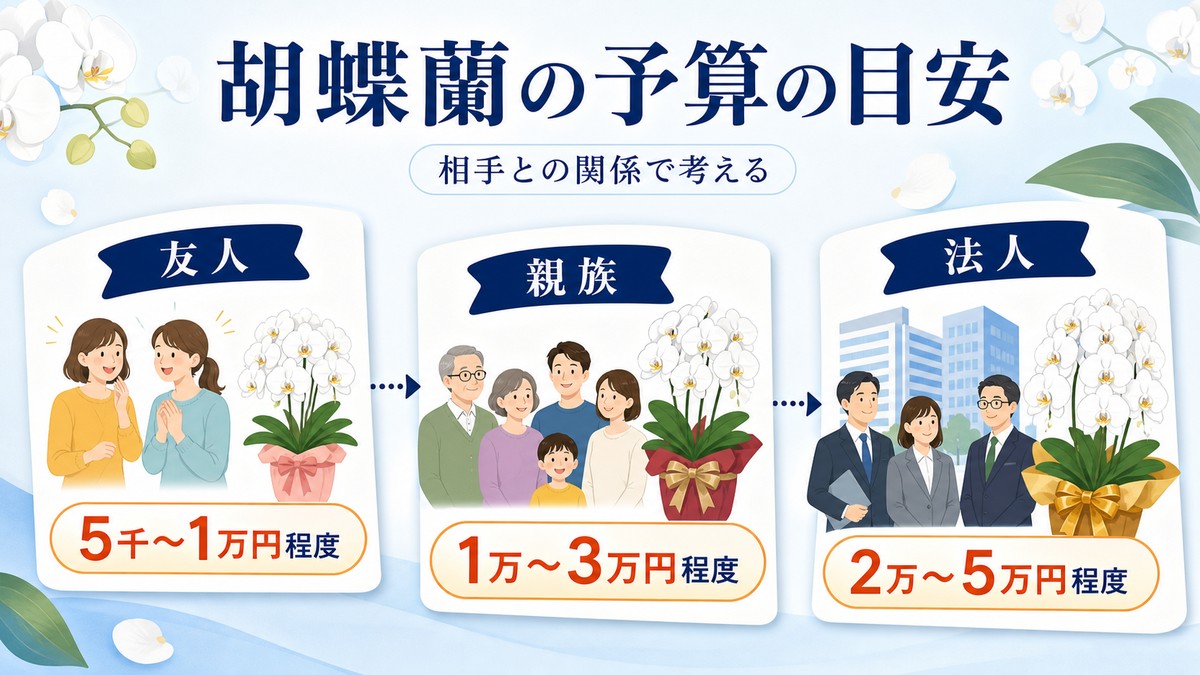 新築祝いの胡蝶蘭の関係性別相場早見表