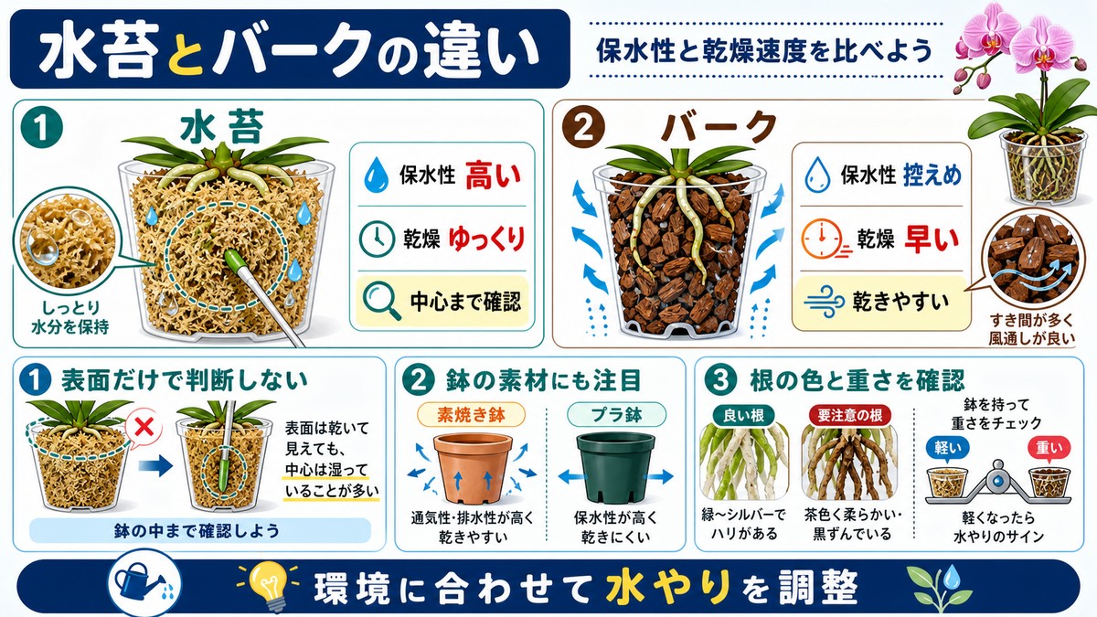 胡蝶蘭の水苔植えとバーク植えの水もちを比較する図解