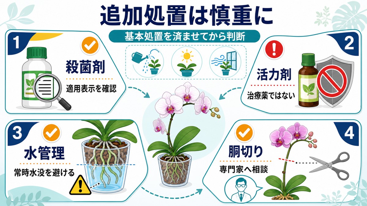 胡蝶蘭の根腐れ処置で慎重に判断したい方法の一覧