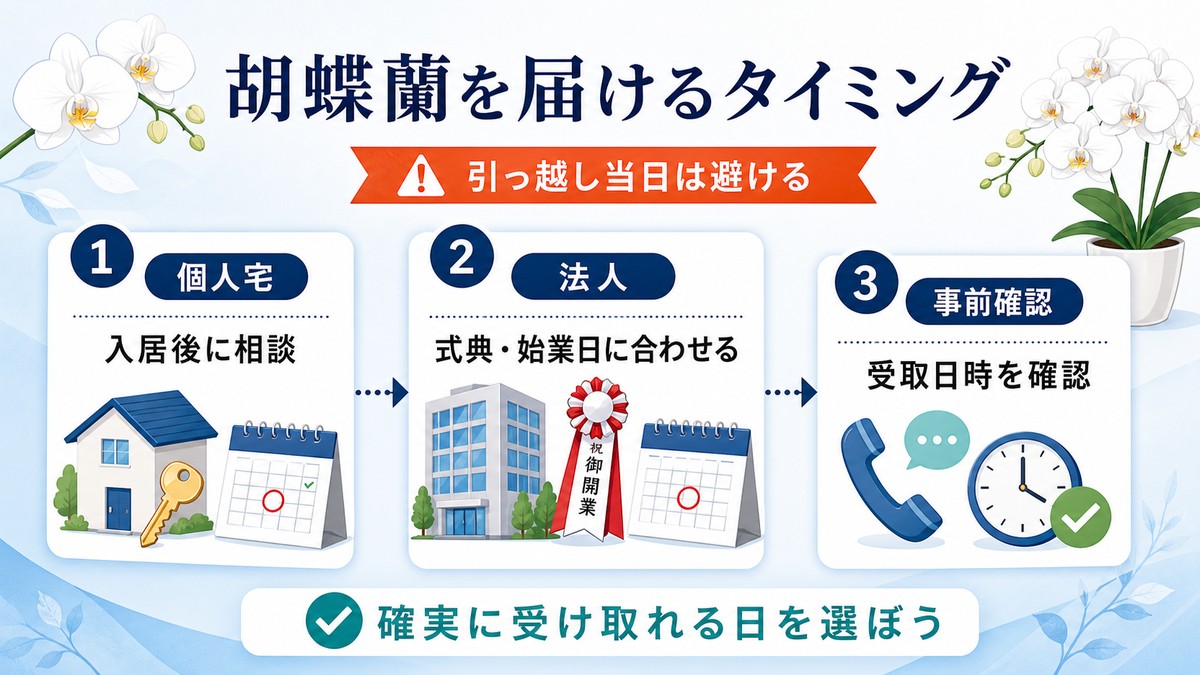 個人宅と法人施設へ胡蝶蘭を届ける時期の比較