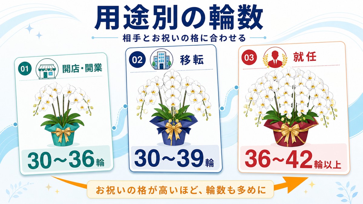 開店祝い就任祝い移転祝いに贈る胡蝶蘭3本立ちの用途図解
