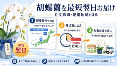 翌日配送に対応する胡蝶蘭通販の選び方
