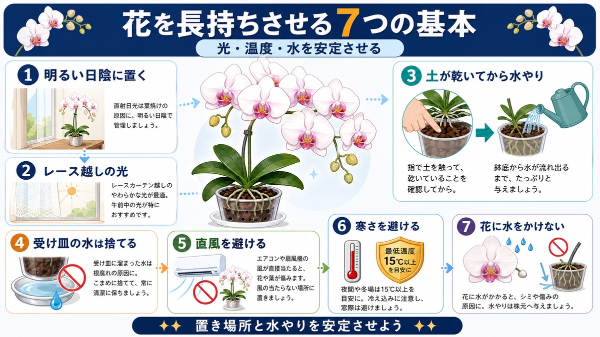 胡蝶蘭を長持ちさせる置き場所と水やりのポイント